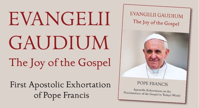 The Joy of the Gospel: Evangelii Gaudium (Publication / United States Conference of Catholic Bishops)