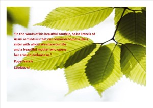 Laudato Si quote 1