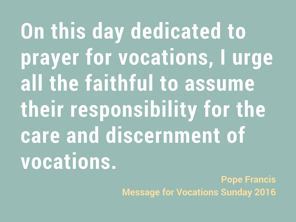On this day dedicated to prayer for vocations, I urge all the faithful to assume their responsibility for the care and discernment of vocations.