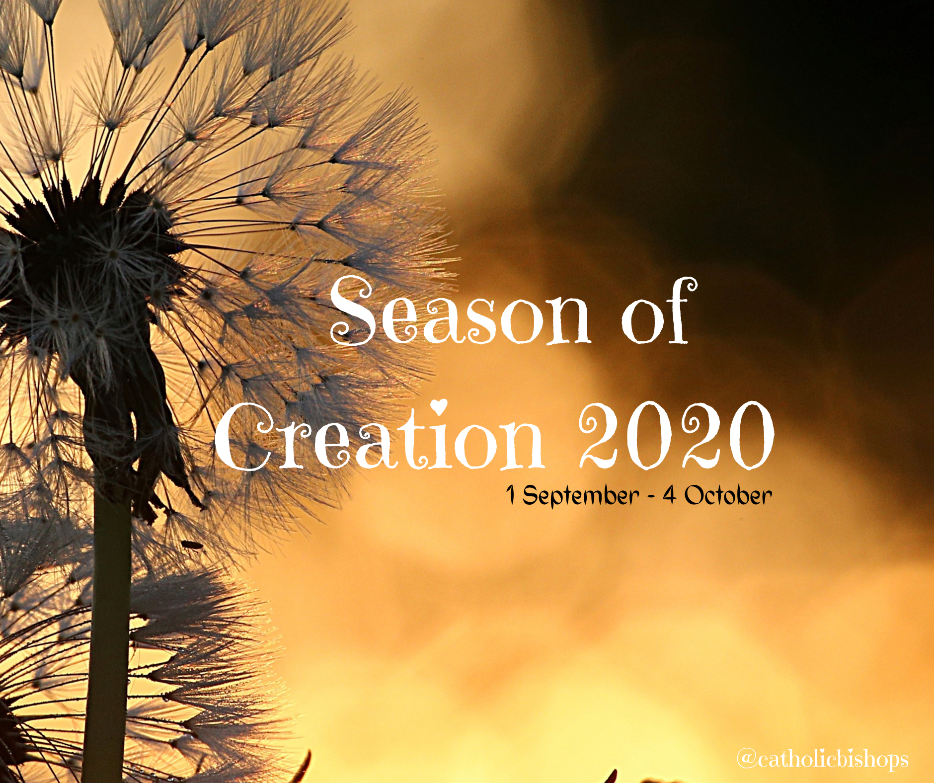 Season of Creation 2020