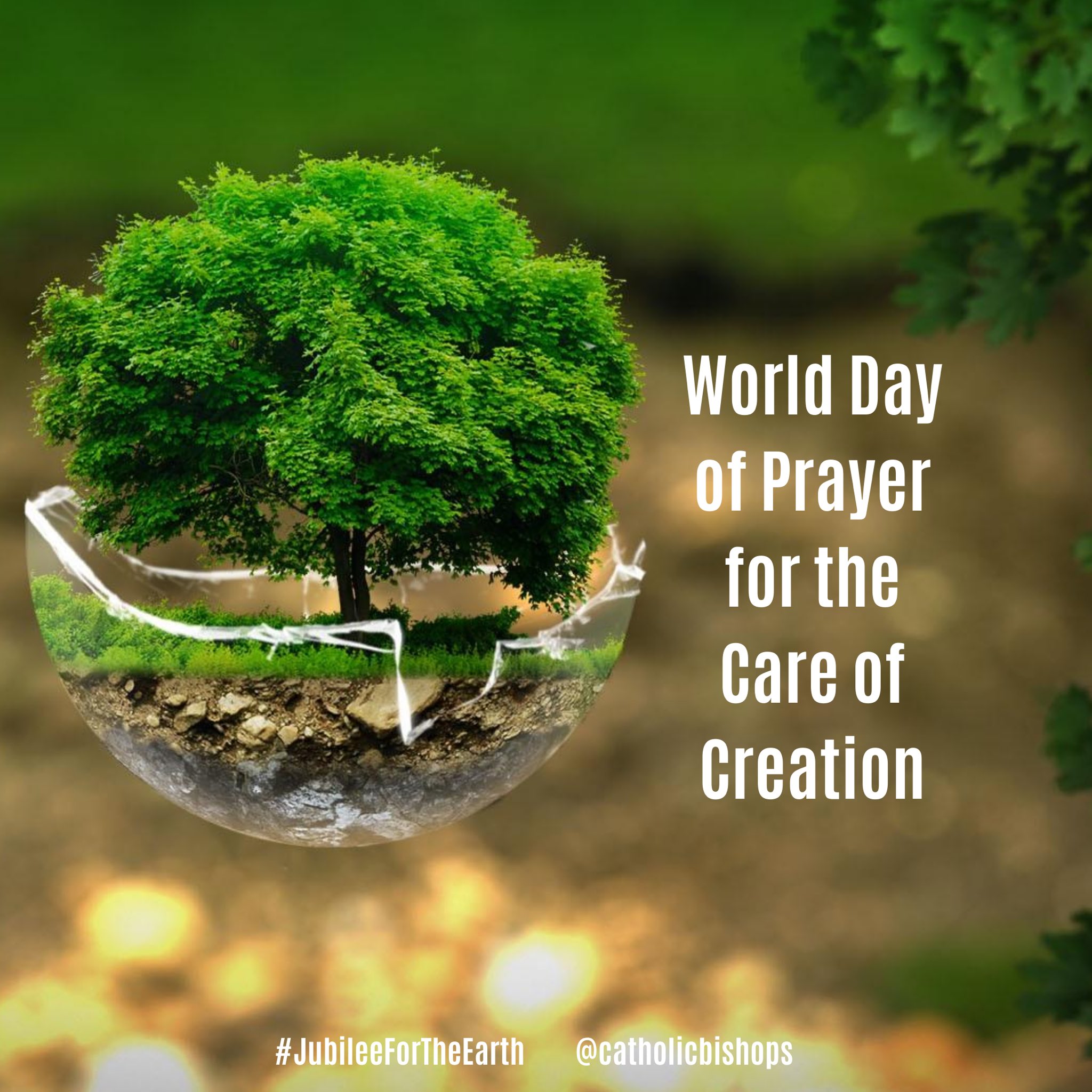Pope Francis&#39; Message for the World Day of Prayer for the Care of Creation  | Irish Catholic Bishops&#39; Conference