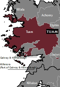 Image result for archdiocese of tuam